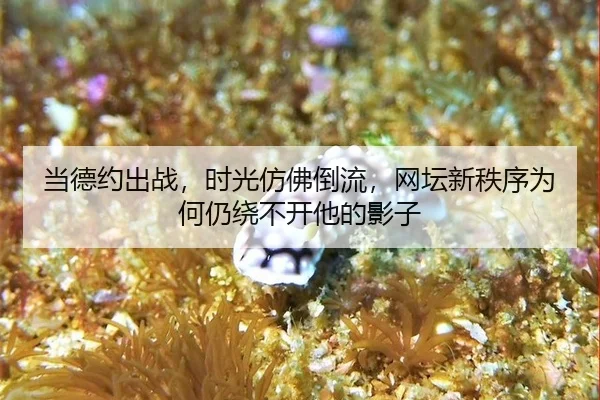 dang-de-yue-chu-zhan-shi-guang-fang-fu-dao-liu-wang-tan-xin-zhi-xu-wei-he-reng-rao-bu-kai-ta-de-ying-zi-2-910.jpg
